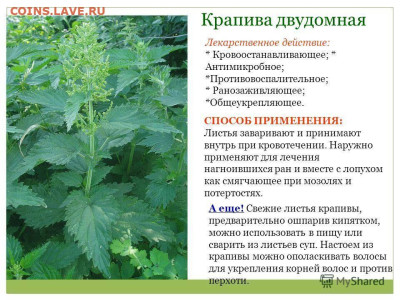 Чатик на самарском - пользаааа