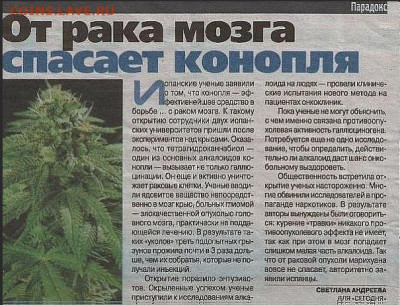 Чатик на самарском - Рак_мозга