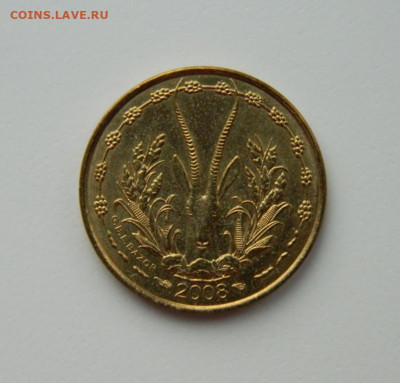 Фр. Западная Африка 5 франков 2008г(Фауна) С рубля до 30.01. - DSCN6870.JPG