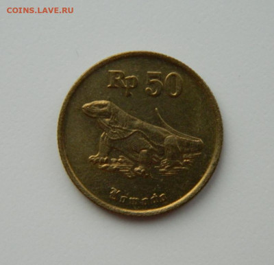 Индонезия 50 рупий 1993 г. (Фауна) С рубля! до 30.01.23 - DSCN6840.JPG