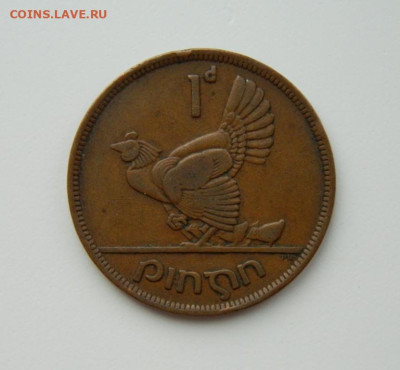 Ирландия 1 пенни 1942 г. (Фауна) С рубля! до 30.01.23 - DSCN6809.JPG