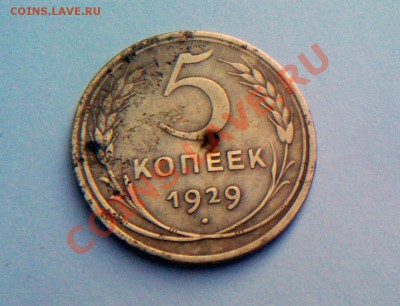 Нечастые 5 копеек 1929.Труп? - IMG_0041