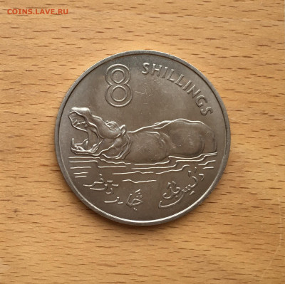 Гамбия 8 шиллингов 1970 Бегемот фауна животные Крона Шайба - IMG_4596.JPG