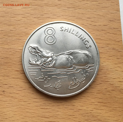 Гамбия 8 шиллингов 1970 Бегемот фауна животные Крона Шайба - IMG_4597.JPG