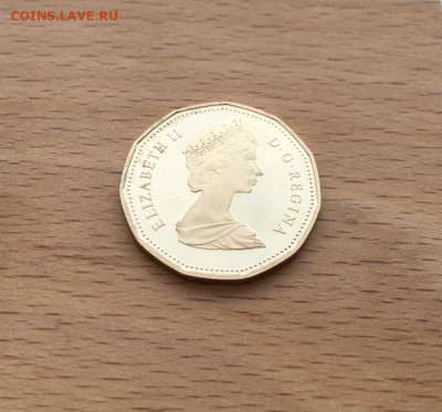 Канада 1 доллар 1987 Гагра птица фауна Пруф Proof капсула - kanada_1_dollar_1987_gagra_ptica_fauna_pruf_proof_kapsula (5)