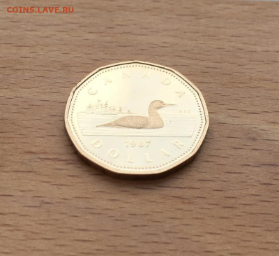 Канада 1 доллар 1987 Гагра птица фауна Пруф Proof капсула - kanada_1_dollar_1987_gagra_ptica_fauna_pruf_proof_kapsula (4)