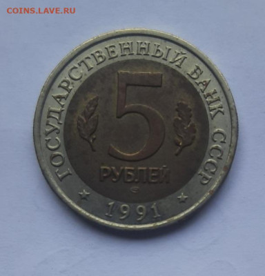 5р 1991 кк филин до 02.02.23 - 20230128_111818