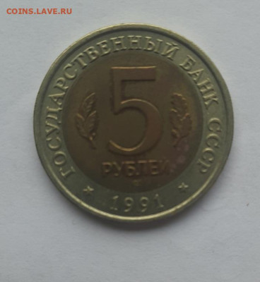 5р кк 1991 козёл до 02.02.23 - 20230128_111731