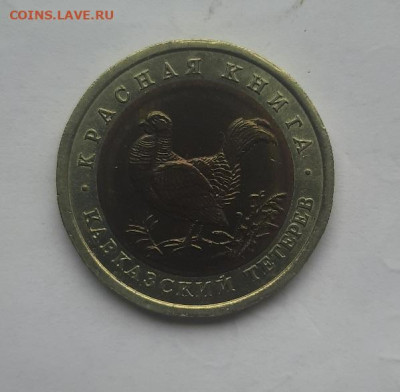 50р кк 1993 тетерев до 02.02.23 - 20230128_122611