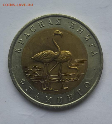 50р 1994 фламинго до 02.02.23 - 20230128_150526