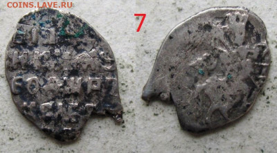 Помогите в определении чешуи - 7.JPG