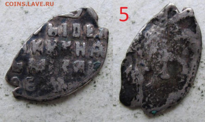 Помогите в определении чешуи - 5.JPG