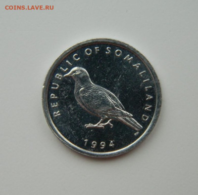 Сомалиленд 1 шиллинг 1994 г. (Фауна) С рубля!  до 02.02.23 - DSCN7420.JPG