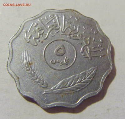 5 филс 1975 Ирак №4 06.02.23 22:00 МСК - CIMG3315.JPG