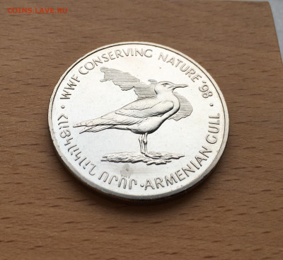 Армения 100 драм драмов 1998 Армянская Чайка XF фауна птица - IMG_4740.JPG
