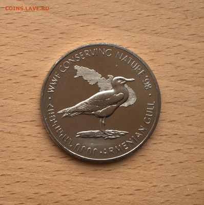 Армения 100 драм драмов 1998 Армянская Чайка XF фауна птица - IMG_4737.JPG