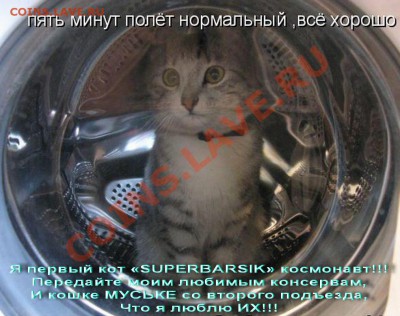 ПЕРВЫЙ КОТ КОСМОНАВТ "SUPERBARSIK - 400" - 5 минут полёт нормальный