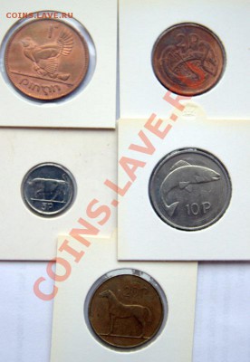 ИРЛАНДИЯ до 22-00 14 дек - IMG_1677.CR2