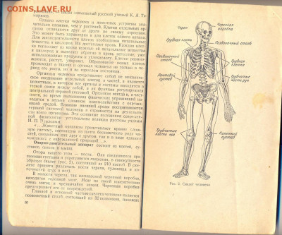 книга "Советы врача спортсмену" 1958г.   с 1 руб - сканирование0003