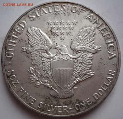 Доллар США 1992 г. Шагающая Свобода до 22-00.06.02.23г. мск - P1470658.JPG