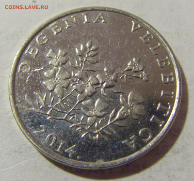 50 липа 2014 Хорватия №4 08.02.23 22:00 МСК - CIMG3758.JPG