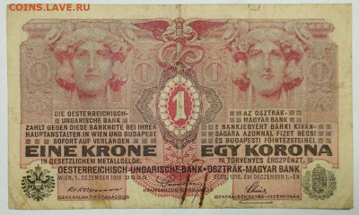 1 крона Австро-Венгрии, 1916г., до 05.02.23г. - IMG_20230202_211536_thumb