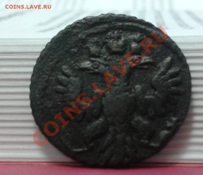 денга  1753 ,денга 1753 ,полушка 1735 (красивая) до 14.12.11 - 2011-12-10 18.13.08