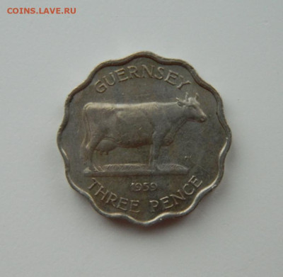Гернси 3 пенса 1959 г.(Фауна) С рубля! до 08.09.23 - DSCN7410.JPG