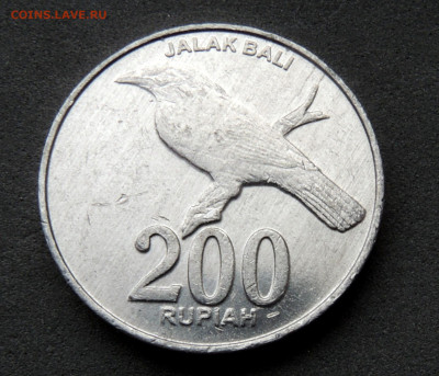 02 - Индон_200_2003.JPG