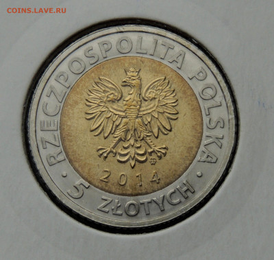 02 - 25 лет_2014 .JPG