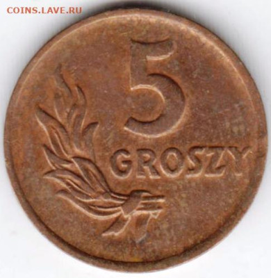 ПОЛЬША 5 грошей 1949 г. до 11.02.23 г. в 23.00 - 041