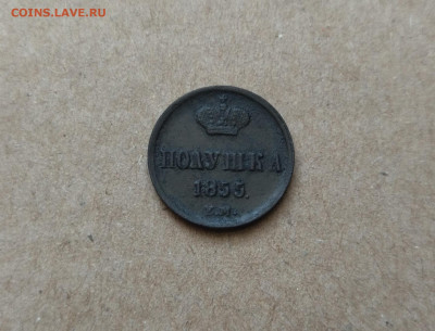 Полушка 1855 год Е. М А2 до 08.02.23г в 22.10 мск - IMG_20230203_213812