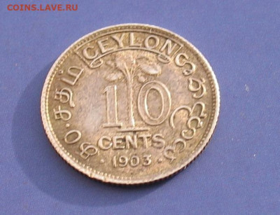 Цейлон 10 центов 1903 до 09.02.23г. 22.00ч. - Цейлон1