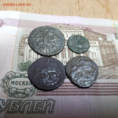 Полушки 1719,1731,1770,1771г.до11.02.23г.22-00мск - 20230206_224622