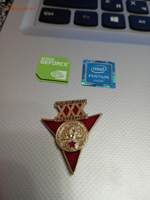 ХХХ международные добровольцы - SAVE_20230207_213541
