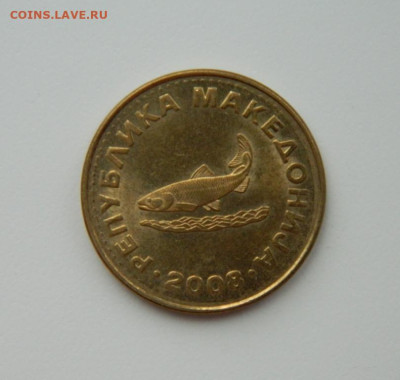 Македония 2 динара 2008 г. (Фауна) С рубля! до 13.02.23 - DSCN7709.JPG