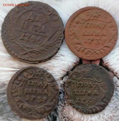 денга 1746, полушка 1737-38 до 10.02.2023 - полуш (1)