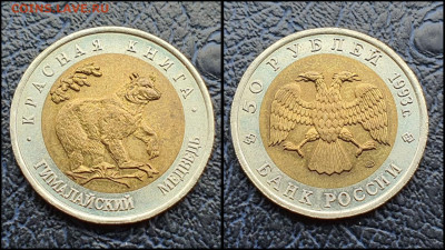 Гималайский Медведь. 50 рублей 1993 год. До 10.02 - IMG_20230208_133654