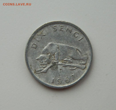 Конго 10 сенги 1967 г. (Фауна) С рубля! до 14.02.23 - DSCN7799.JPG