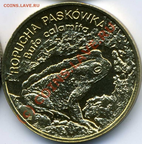 Польша (1998) - 2зл.- Жаба камышовая UNC - polska_2zl_jaba_1998_av