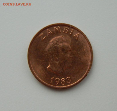 Замбия 1 нгве 1983 г. (Фауна) С рубля! до 14.02.23 - DSCN7720.JPG