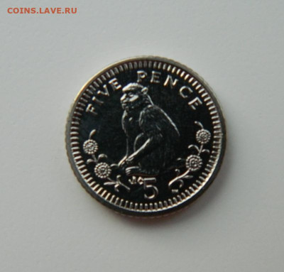 Гибралтар 5 пенсов 2003 г. (Фауна) С рубля! до 16.02.23 - DSCN7854.JPG