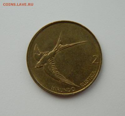 Словения 2 толара 2000 г.(Фауна) С рубля!  до 16.02.23 - DSCN7895.JPG