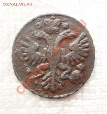 денга 1731г.одна черта.окончание 15.11.11 в 22.00мск - SAM_2399.JPG