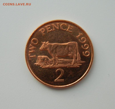 Гернси 2 пенса 1999 г. (Фауна) С рубля! до 16.02.23 - DSCN7856.JPG