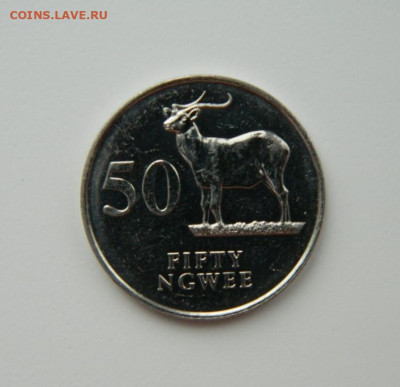 Замбия 50 нгве 1992 г. (Фауна) С рубля! до 16.02.23 - DSCN7769.JPG