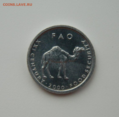 Сомали 10 шиллингов 2000 г.(ФАО) Фауна С рубля! до 16.02.23 - DSCN7750.JPG