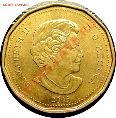 F04 Канада 1$ 2005 Terry Fox до 16.12 в 22°° - F04 1$ 2005 Terry Fox_2