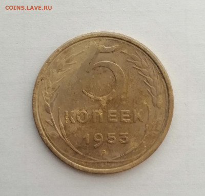 5 копеек 1953г. СССР на определение штемпеля - IMG_20230213_152950