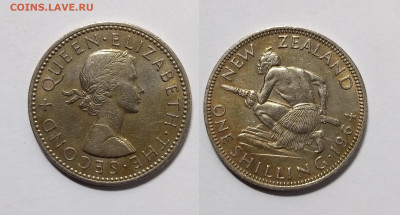 Новая Зеландия шиллинг 1964 г Елизавета II - 19.02 - IMG_20230213_101705